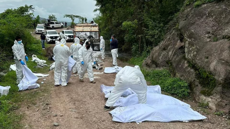 19 Bodies Found